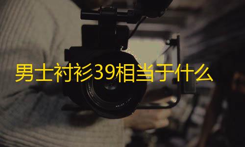 蛟龙直装v3.0超凡先锋男士衬衫39相当于什么尺码